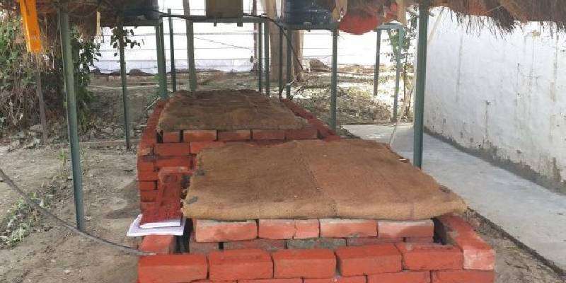 fruits and vegetable care