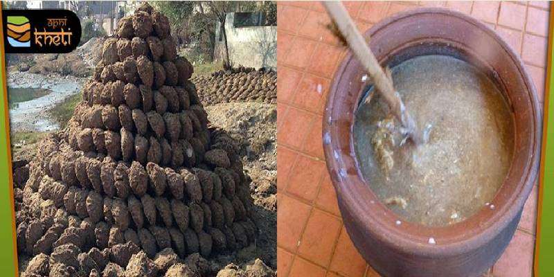 Cow Dung Cakes Are Being Sold In America For Just Rs 214 As A 'Product Of  India'