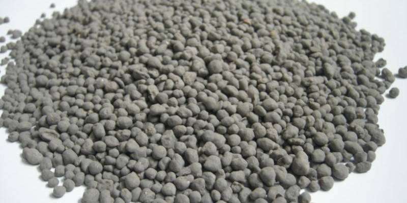 identification of DAP