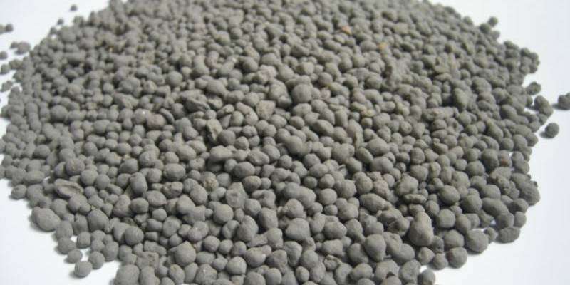 identification of DAP