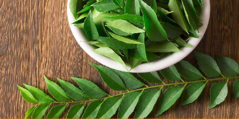 कड़ी पत्ता