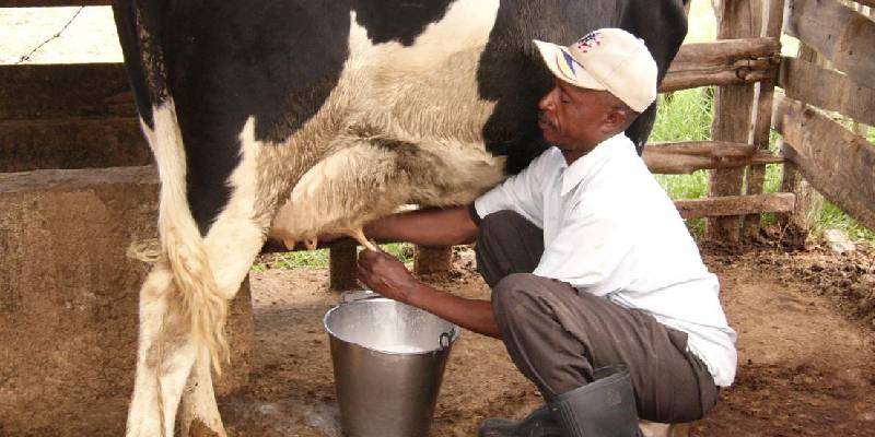 precaution for milk increase