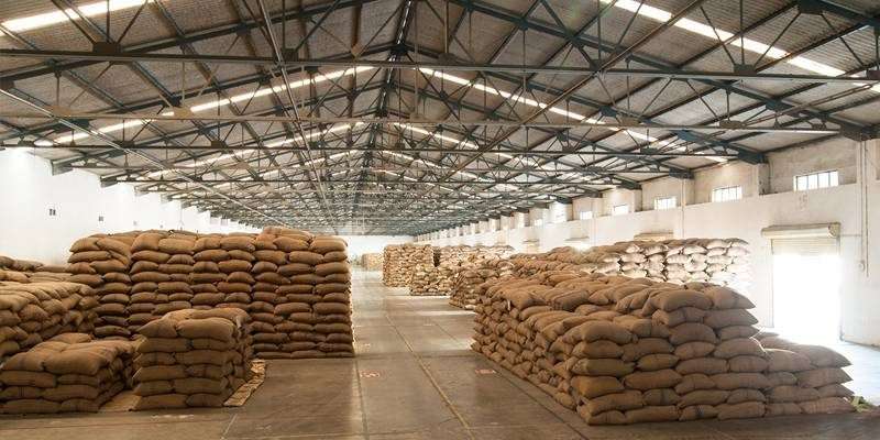 seed storage
