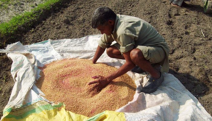 बीजों का उपचार