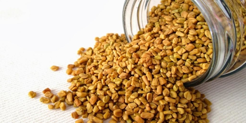 Fenugreek hindi