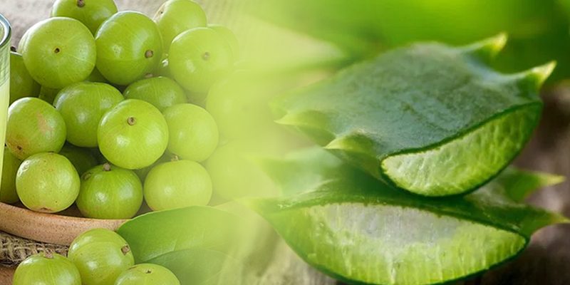 ਆਂਵਲਾ ਅਤੇ ਕਵਾਰ