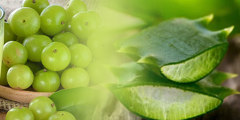 ਆਂਵਲਾ ਅਤੇ ਕਵਾਰ