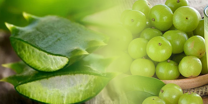 आंवला और एलोवेरा