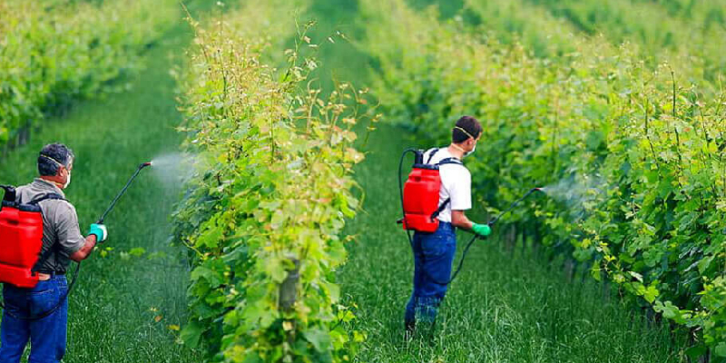 कीटनाशक