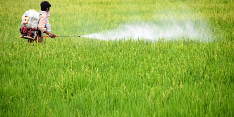 कीटनाशक