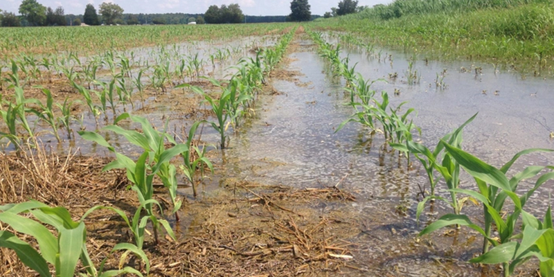 खारे-पानी