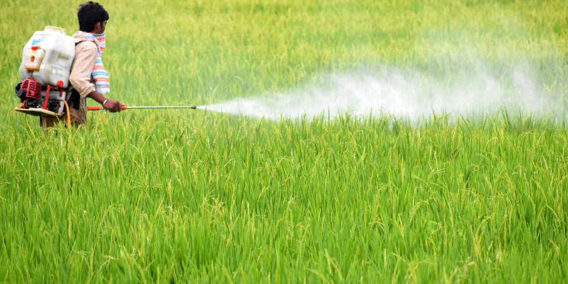 ਕੀਟਨਾਸ਼ਕ