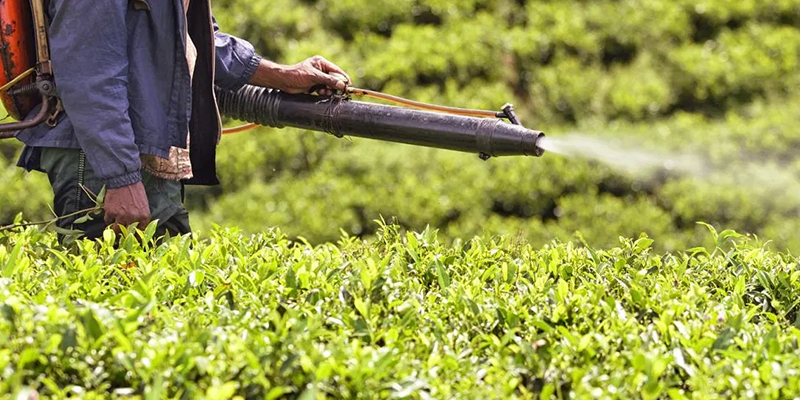 ਕੀਟਨਾਸ਼ਕ