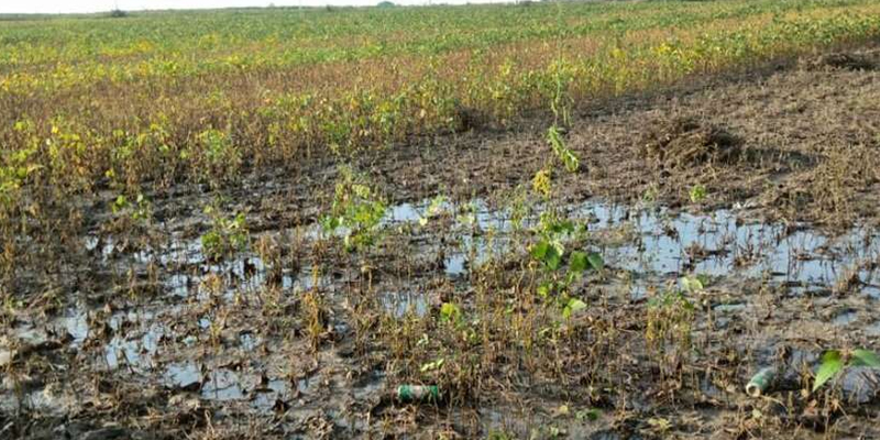 ਖ਼ਾਰੇ-ਪਾਣੀ