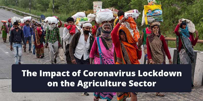 How has the Coronavirus Lockdown Affected the Agriculture Sector?