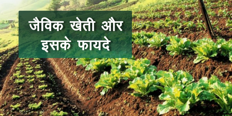 जैविक खेती