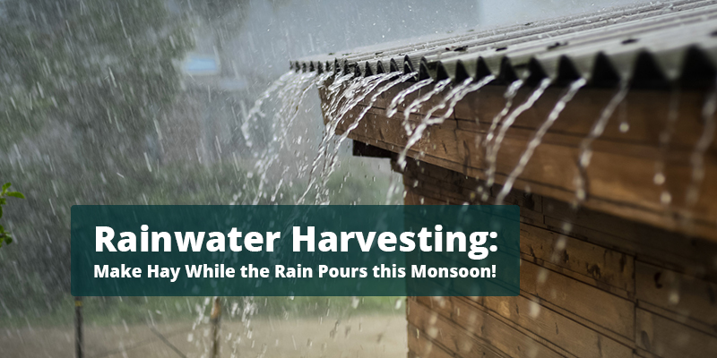 Rainwater harvesting