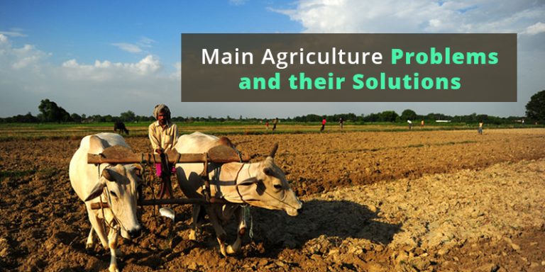 Troubled Farmers: Main Agriculture Problems In India And Their Solutions