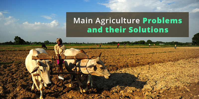 troubled-farmers-main-agriculture-problems-in-india-and-their-solutions