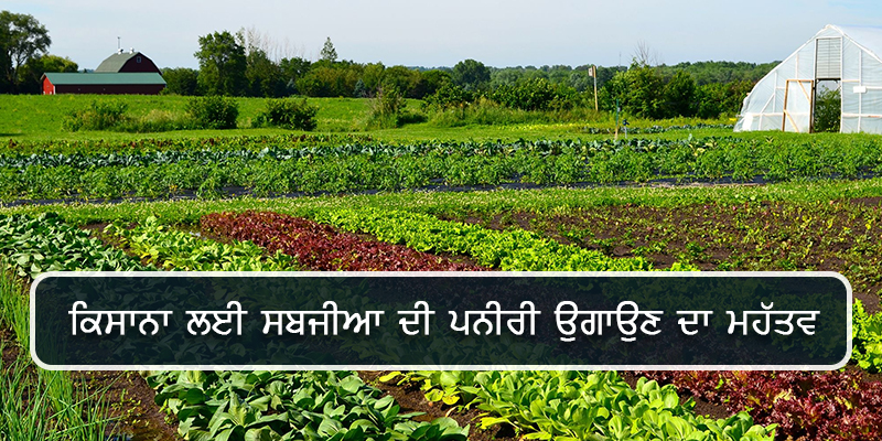 vegetable farming pa