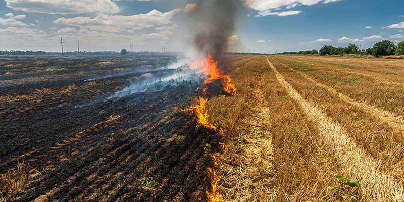 Crop Residue Management