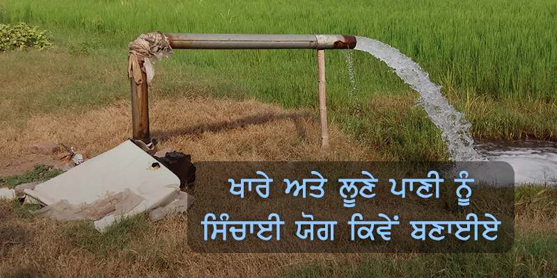 ਖਾਰੇ ਅਤੇ ਲੂਣੇ ਪਾਣੀ ਨੂੰ ਸਿੰਚਾਈ ਯੋਗ ਕਿਵੇਂ ਬਣਾਈਏ